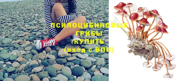 ешки Армянск