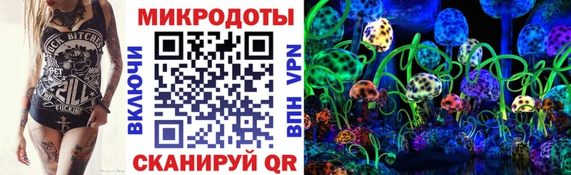Галлюциногенные грибы прущие грибы  мега зеркало  Черняховск  купить наркотик 